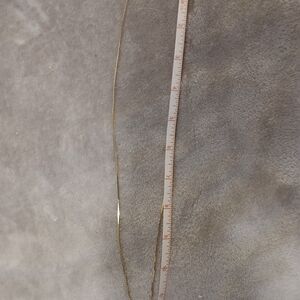 Classic Gold Tone Women’s Chain Necklace -